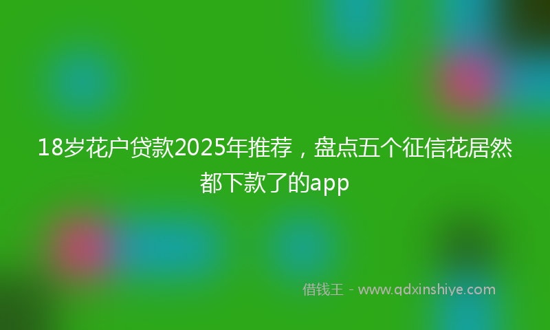 18岁花户贷款2025年推荐，盘点五个征信花居然都下款了的app