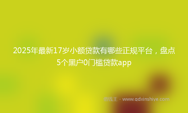 2025年最新17岁小额贷款有哪些正规平台，盘点5个黑户0门槛贷款app