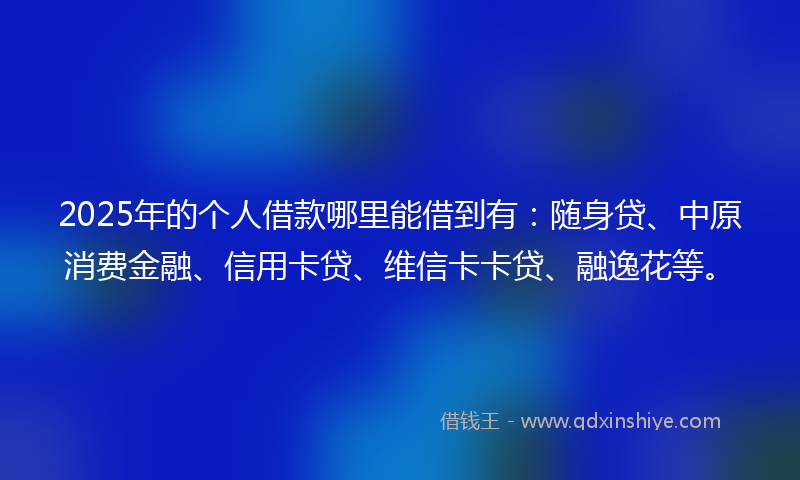 2025年的个人借款哪里能借到有：随身贷、中原消费金融、信用卡贷、维信卡卡贷、融逸花等。