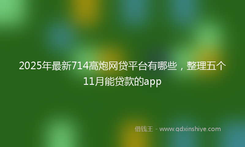 2025年最新714高炮网贷平台有哪些，整理五个11月能贷款的app