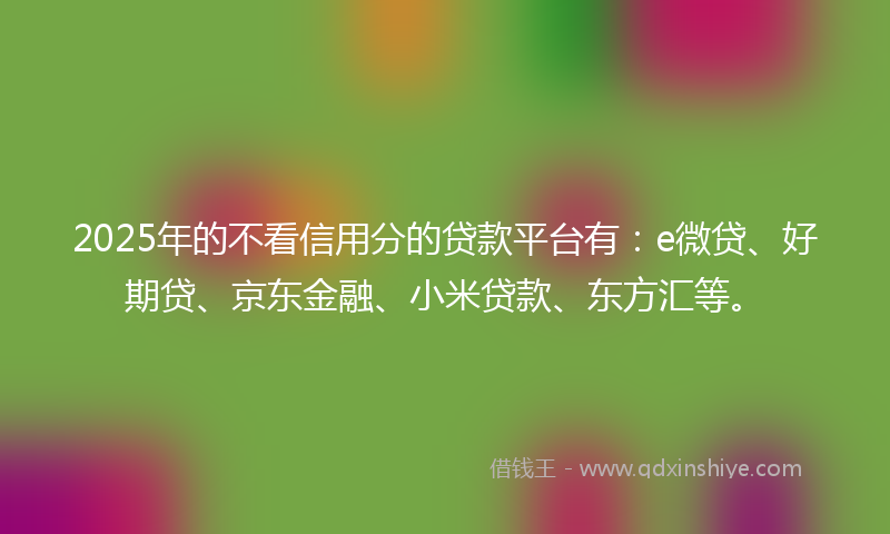 2025年的不看信用分的贷款平台有：e微贷、好期贷、京东金融、小米贷款、东方汇等。