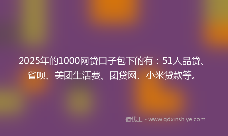 2025年的1000网贷口子包下的有：51人品贷、省呗、美团生活费、团贷网、小米贷款等。