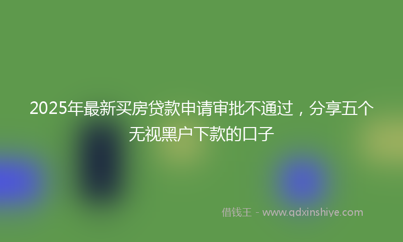 2025年最新买房贷款申请审批不通过，分享五个无视黑户下款的口子