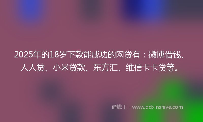 2025年的18岁下款能成功的网贷有：微博借钱、人人贷、小米贷款、东方汇、维信卡卡贷等。