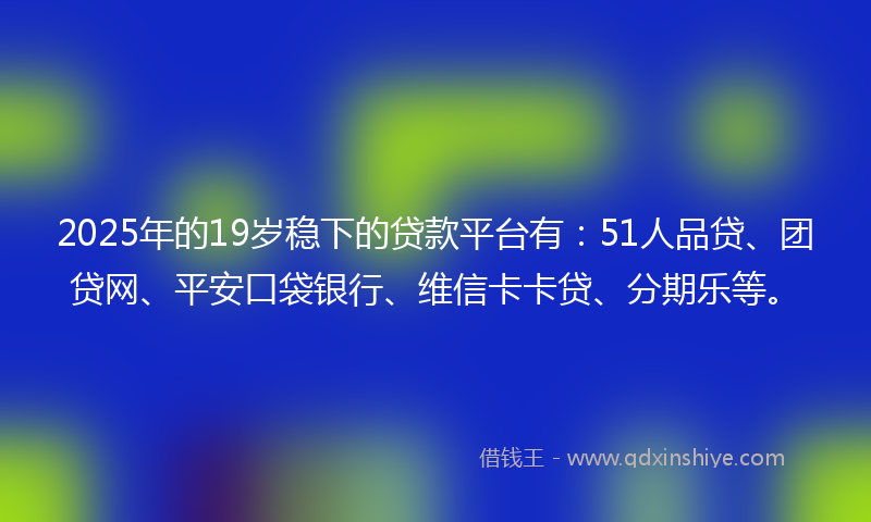 2025年的19岁稳下的贷款平台有：51人品贷、团贷网、平安口袋银行、维信卡卡贷、分期乐等。