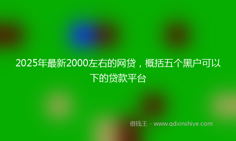 2025年最新2000左右的网贷，概括五个黑户可以下的贷款平台