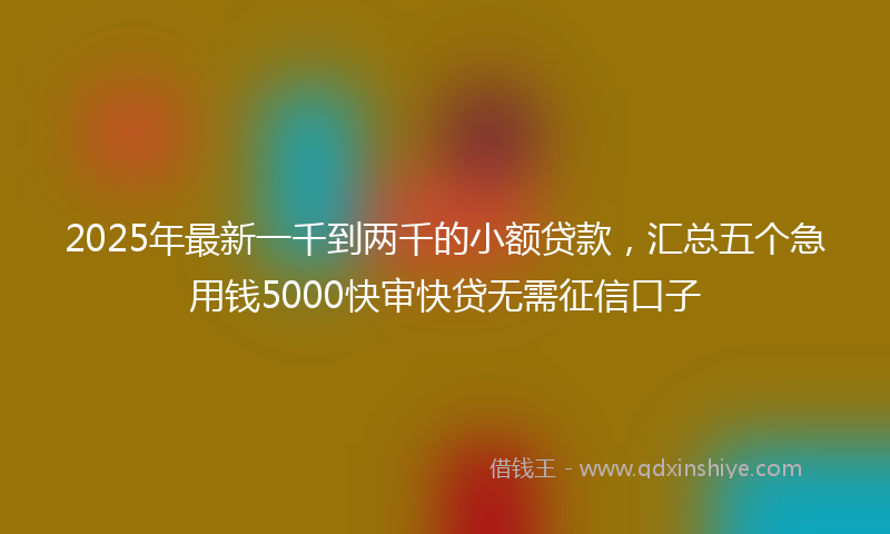 2025年最新一千到两千的小额贷款，汇总五个急用钱5000快审快贷无需征信口子