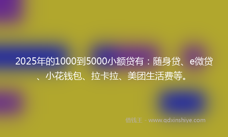 2025年的1000到5000小额贷有：随身贷、e微贷、小花钱包、拉卡拉、美团生活费等。