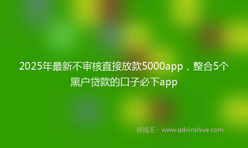 2025年最新不审核直接放款5000app，整合5个黑户贷款的口子必下app