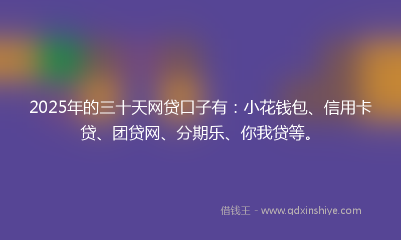 2025年的三十天网贷口子有：小花钱包、信用卡贷、团贷网、分期乐、你我贷等。