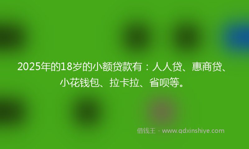 2025年的18岁的小额贷款有：人人贷、惠商贷、小花钱包、拉卡拉、省呗等。