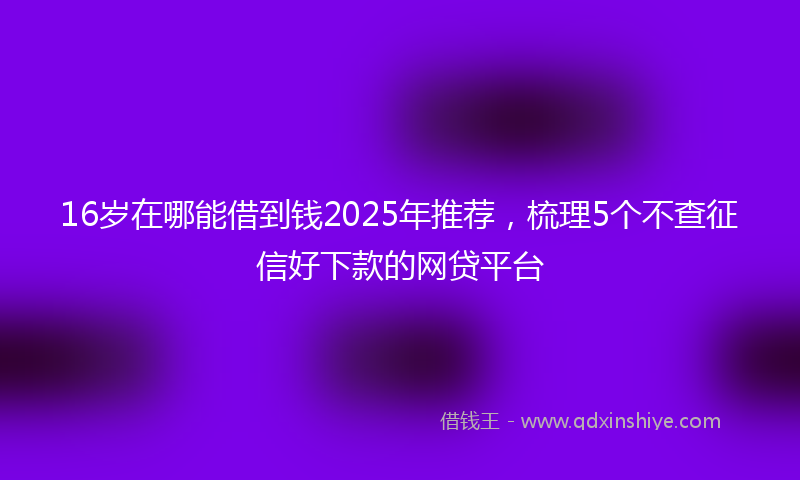 16岁在哪能借到钱2025年推荐，梳理5个不查征信好下款的网贷平台