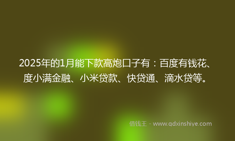2025年的1月能下款高炮口子有：百度有钱花、度小满金融、小米贷款、快贷通、滴水贷等。