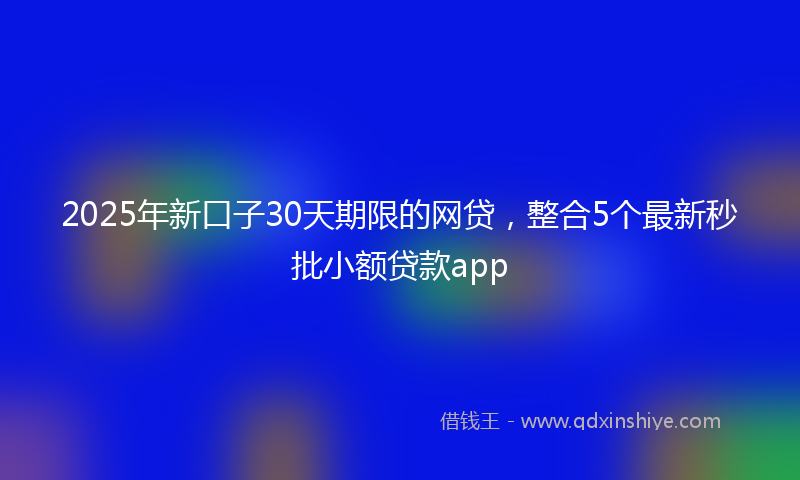 2025年新口子30天期限的网贷，整合5个最新秒批小额贷款app