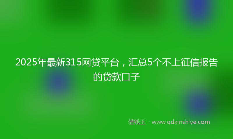 2025年最新315网贷平台，汇总5个不上征信报告的贷款口子