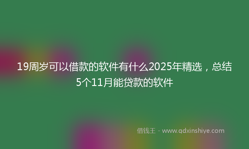 19周岁可以借款的软件有什么2025年精选，总结5个11月能贷款的软件
