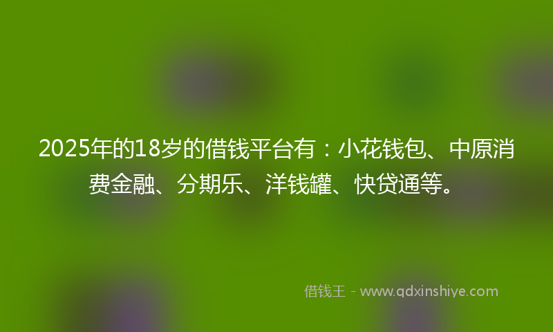 2025年的18岁的借钱平台有：小花钱包、中原消费金融、分期乐、洋钱罐、快贷通等。