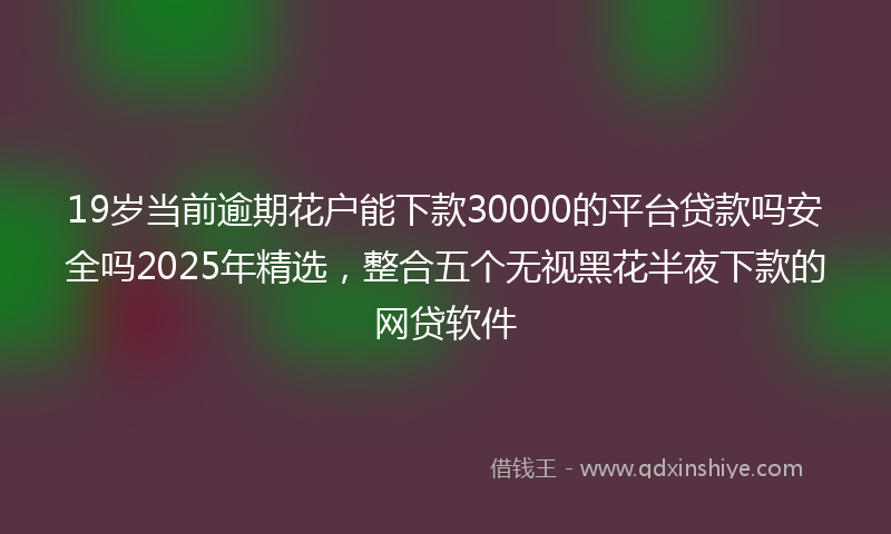 19岁当前逾期花户能下款30000的平台贷款吗安全吗2025年精选，整合五个无视黑花半夜下款的网贷软件