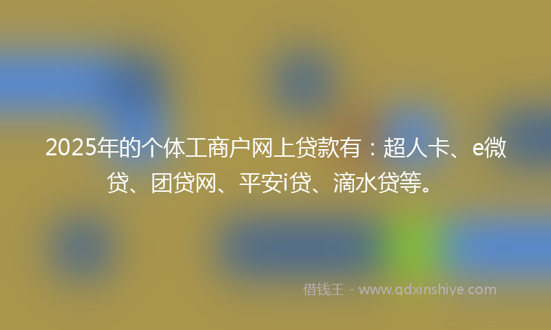 2025年的个体工商户网上贷款有：超人卡、e微贷、团贷网、平安i贷、滴水贷等。