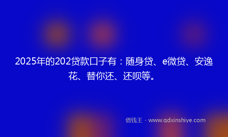 2025年的202贷款口子有：随身贷、e微贷、安逸花、替你还、还呗等。