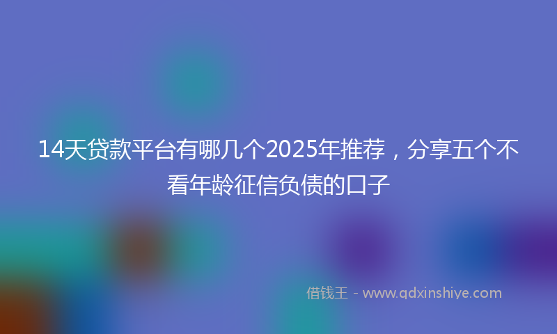 14天贷款平台有哪几个2025年推荐，分享五个不看年龄征信负债的口子