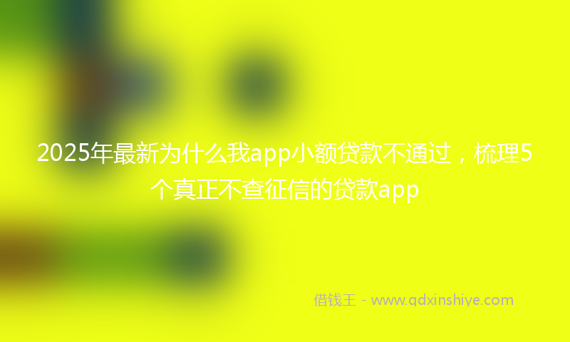 2025年最新为什么我app小额贷款不通过，梳理5个真正不查征信的贷款app