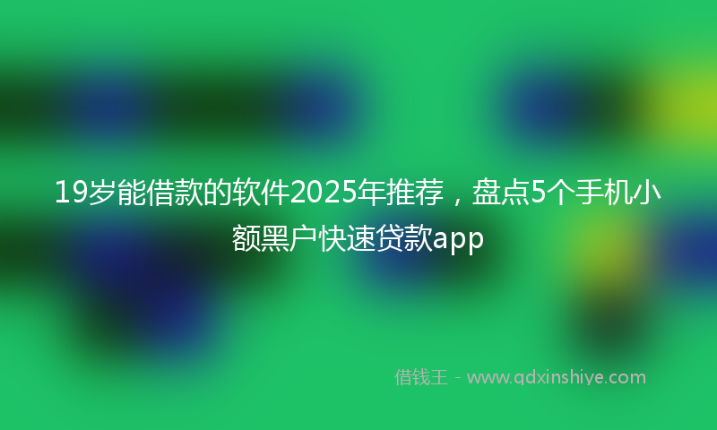 19岁能借款的软件2025年推荐，盘点5个手机小额黑户快速贷款app