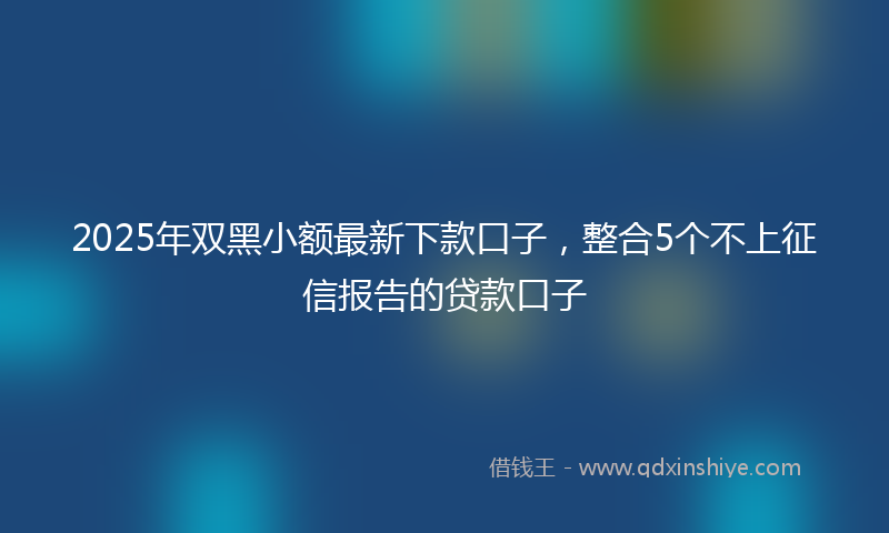 2025年双黑小额最新下款口子，整合5个不上征信报告的贷款口子