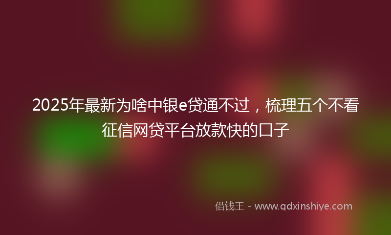 2025年最新为啥中银e贷通不过，梳理五个不看征信网贷平台放款快的口子