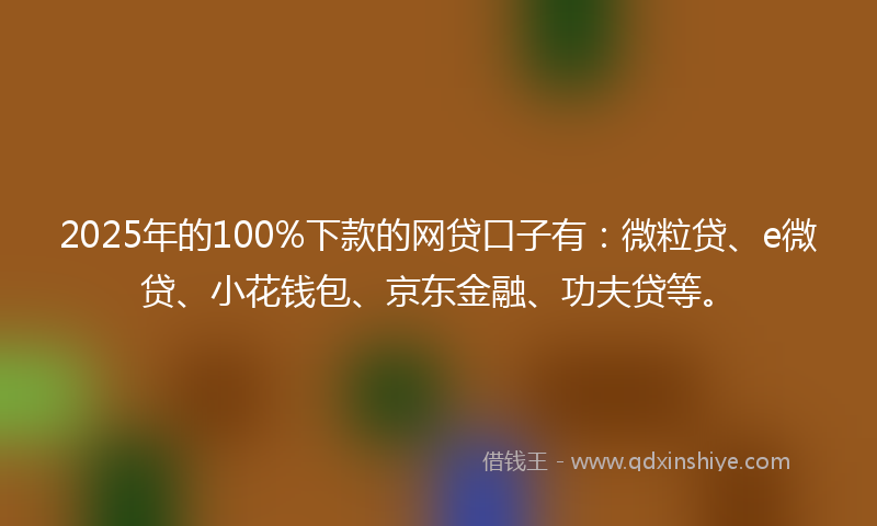 2025年的100%下款的网贷口子有：微粒贷、e微贷、小花钱包、京东金融、功夫贷等。