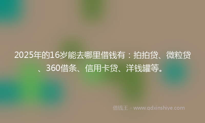 2025年的16岁能去哪里借钱有：拍拍贷、微粒贷、360借条、信用卡贷、洋钱罐等。