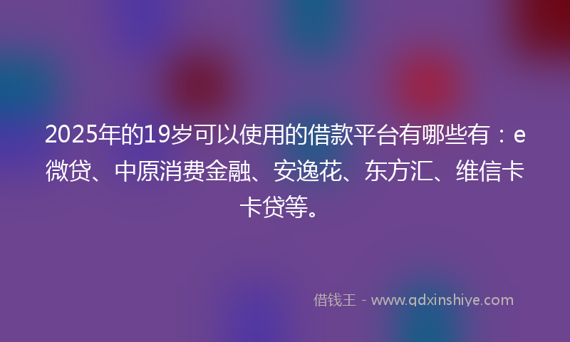 2025年的19岁可以使用的借款平台有哪些有：e微贷、中原消费金融、安逸花、东方汇、维信卡卡贷等。