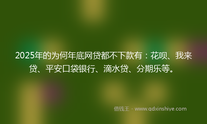2025年的为何年底网贷都不下款有：花呗、我来贷、平安口袋银行、滴水贷、分期乐等。