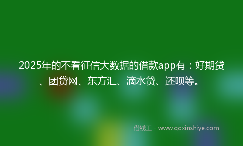 2025年的不看征信大数据的借款app有：好期贷、团贷网、东方汇、滴水贷、还呗等。