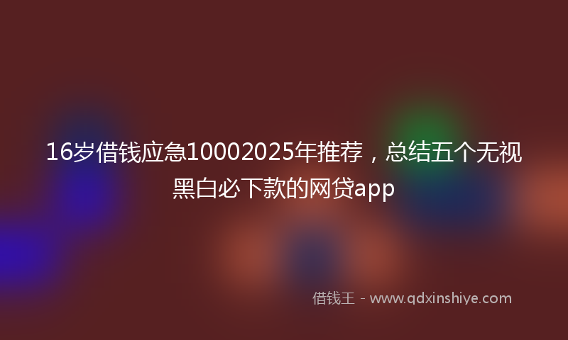 16岁借钱应急10002025年推荐，总结五个无视黑白必下款的网贷app