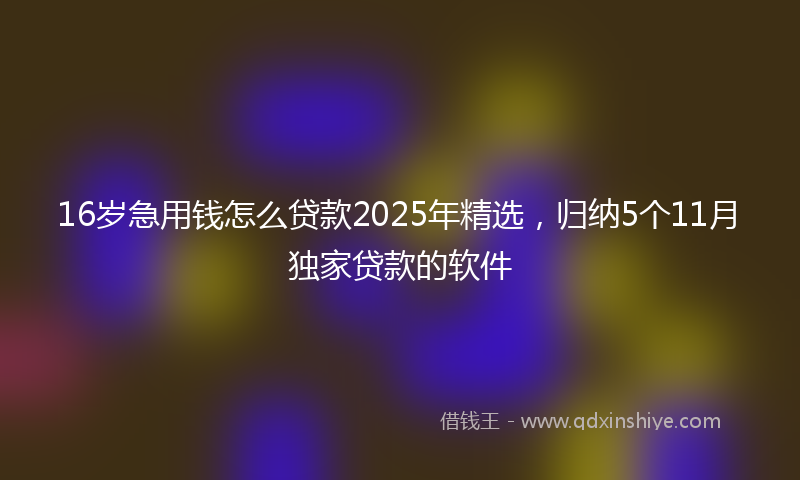 16岁急用钱怎么贷款2025年精选，归纳5个11月独家贷款的软件