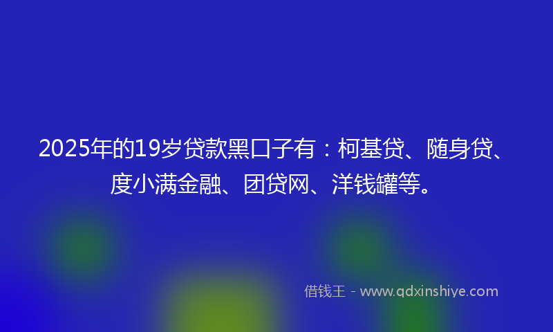 2025年的19岁贷款黑口子有：柯基贷、随身贷、度小满金融、团贷网、洋钱罐等。