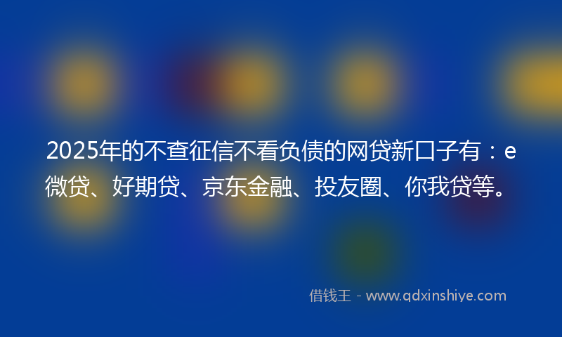2025年的不查征信不看负债的网贷新口子有：e微贷、好期贷、京东金融、投友圈、你我贷等。