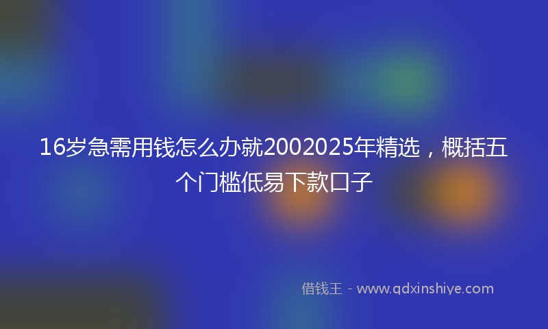 16岁急需用钱怎么办就2002025年精选，概括五个门槛低易下款口子