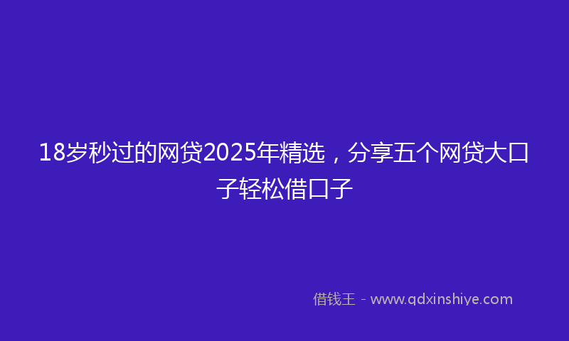 18岁秒过的网贷2025年精选，分享五个网贷大口子轻松借口子