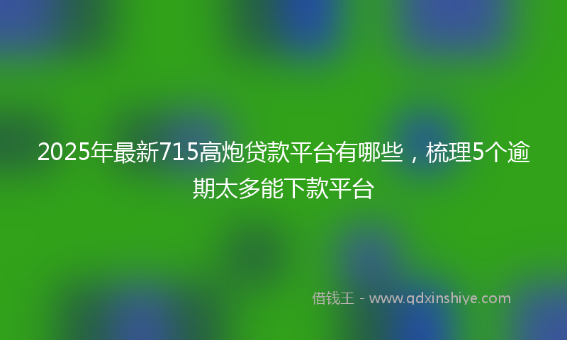 2025年最新715高炮贷款平台有哪些，梳理5个逾期太多能下款平台