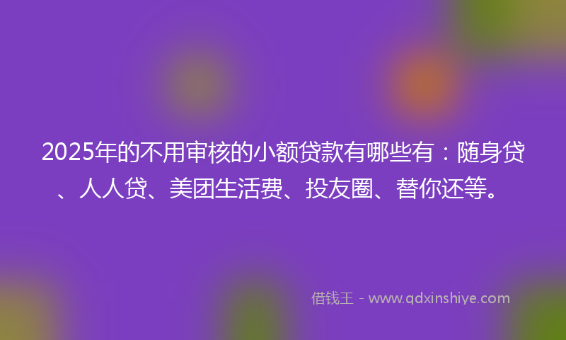 2025年的不用审核的小额贷款有哪些有：随身贷、人人贷、美团生活费、投友圈、替你还等。