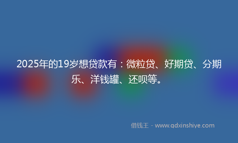 2025年的19岁想贷款有：微粒贷、好期贷、分期乐、洋钱罐、还呗等。