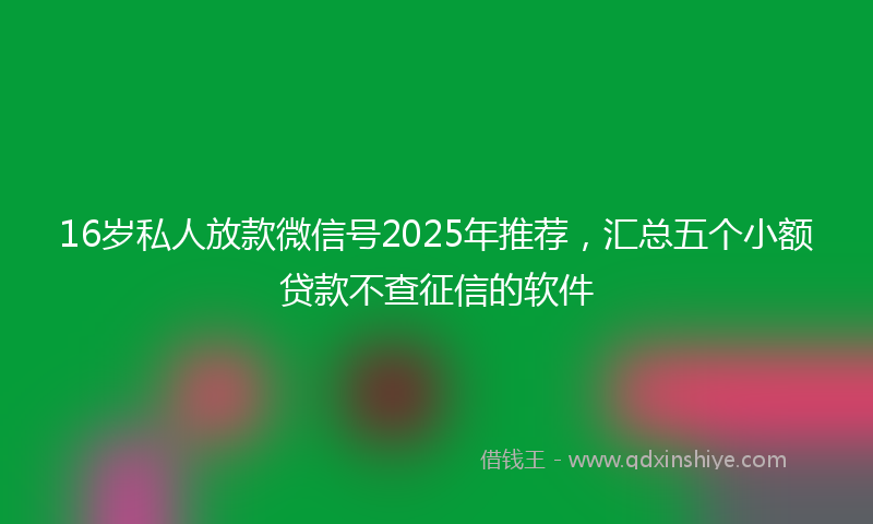 16岁私人放款微信号2025年推荐，汇总五个小额贷款不查征信的软件