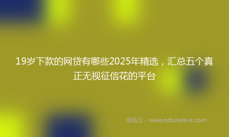 19岁下款的网贷有哪些2025年精选，汇总五个真正无视征信花的平台