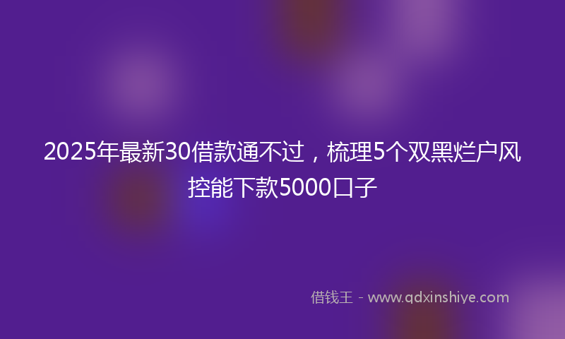 2025年最新30借款通不过，梳理5个双黑烂户风控能下款5000口子