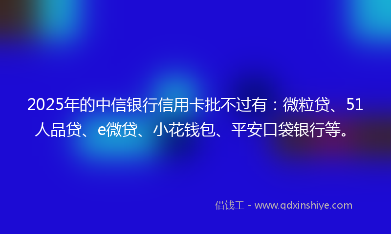 2025年的中信银行信用卡批不过有：微粒贷、51人品贷、e微贷、小花钱包、平安口袋银行等。
