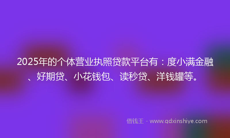 2025年的个体营业执照贷款平台有：度小满金融、好期贷、小花钱包、读秒贷、洋钱罐等。