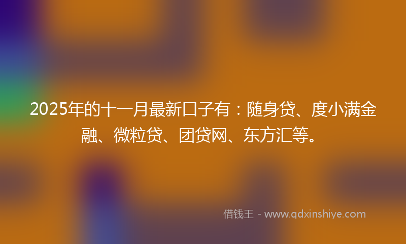 2025年的十一月最新口子有：随身贷、度小满金融、微粒贷、团贷网、东方汇等。