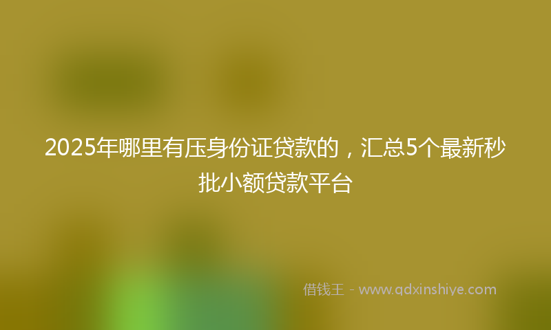 2025年哪里有压身份证贷款的，汇总5个最新秒批小额贷款平台